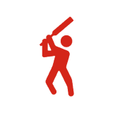 Cricket